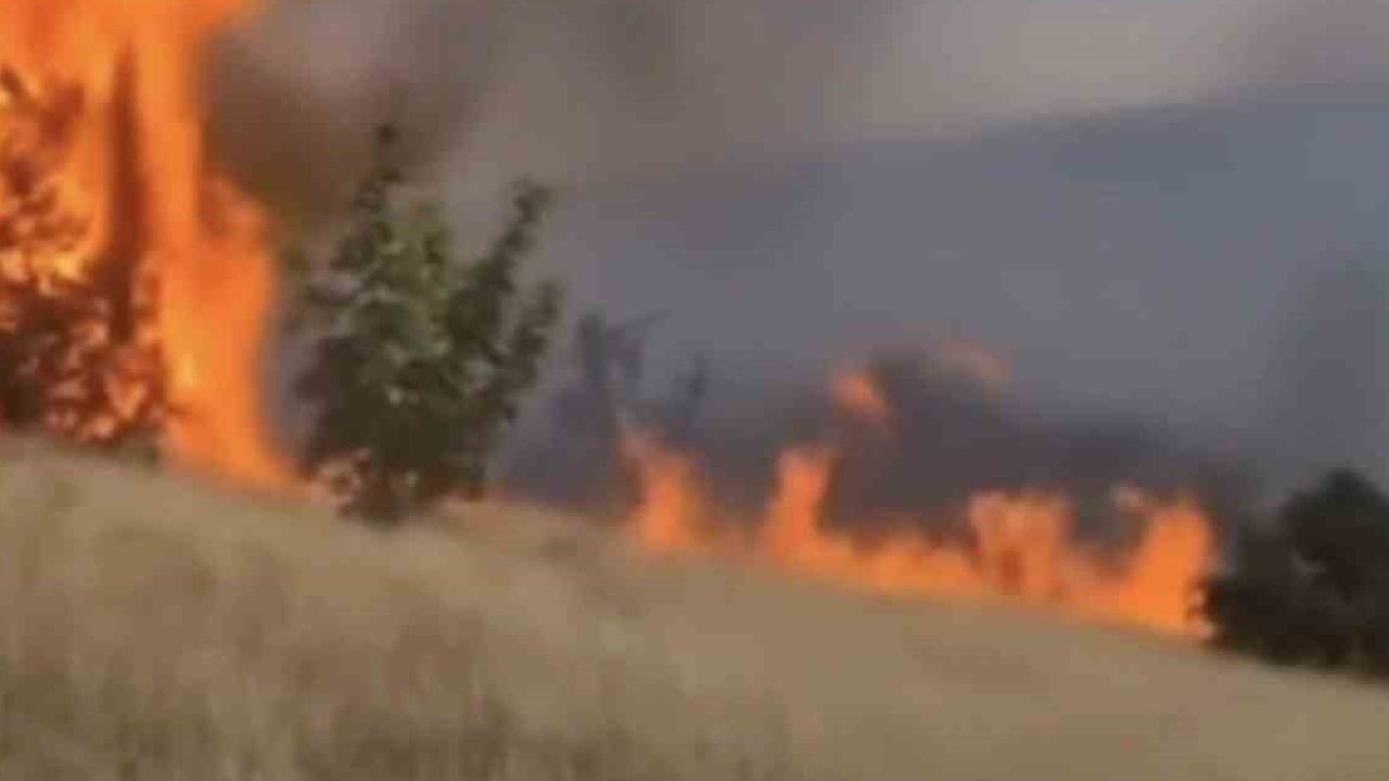 Korgun'da başlayan örtü yangını makilikten ormana uzandı, kontrol sağlandı