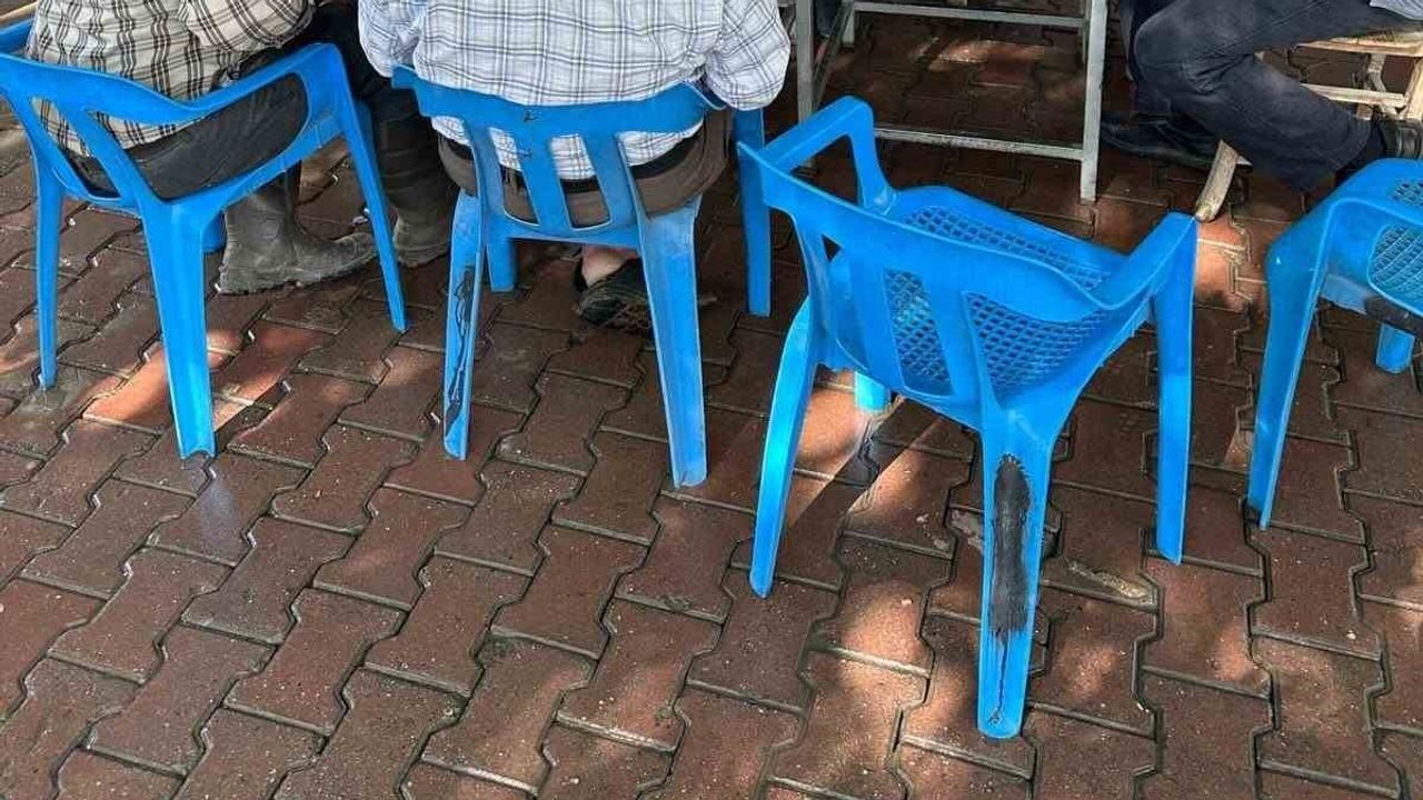 Köşk'te üreticilere sürdürülebilir ilek ve kuru incir hazırlama eğitimi