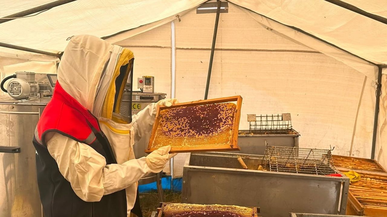 Kovan kovan denetim: Kars'ta üreticilere yerinde arıcılık desteği