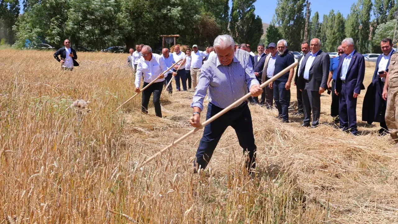 Köy harmanında tırpan sallayan Binali Yıldırım