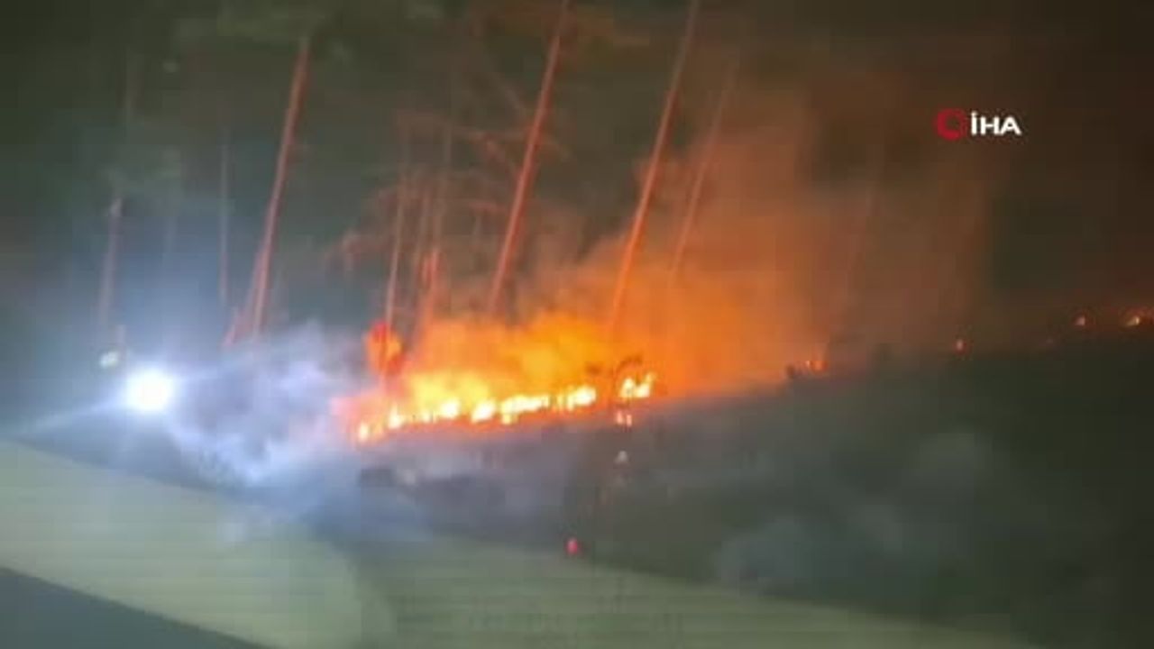 Köylülerin hızlı müdahalesi Mudurnu'da orman yangınının büyümesini engelledi