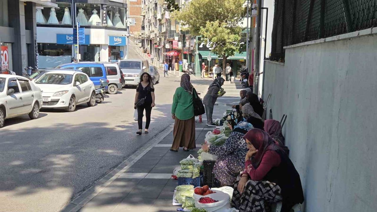 Küçük bamyanın kıymeti: Samsun kaldırımlarında sezon geliri