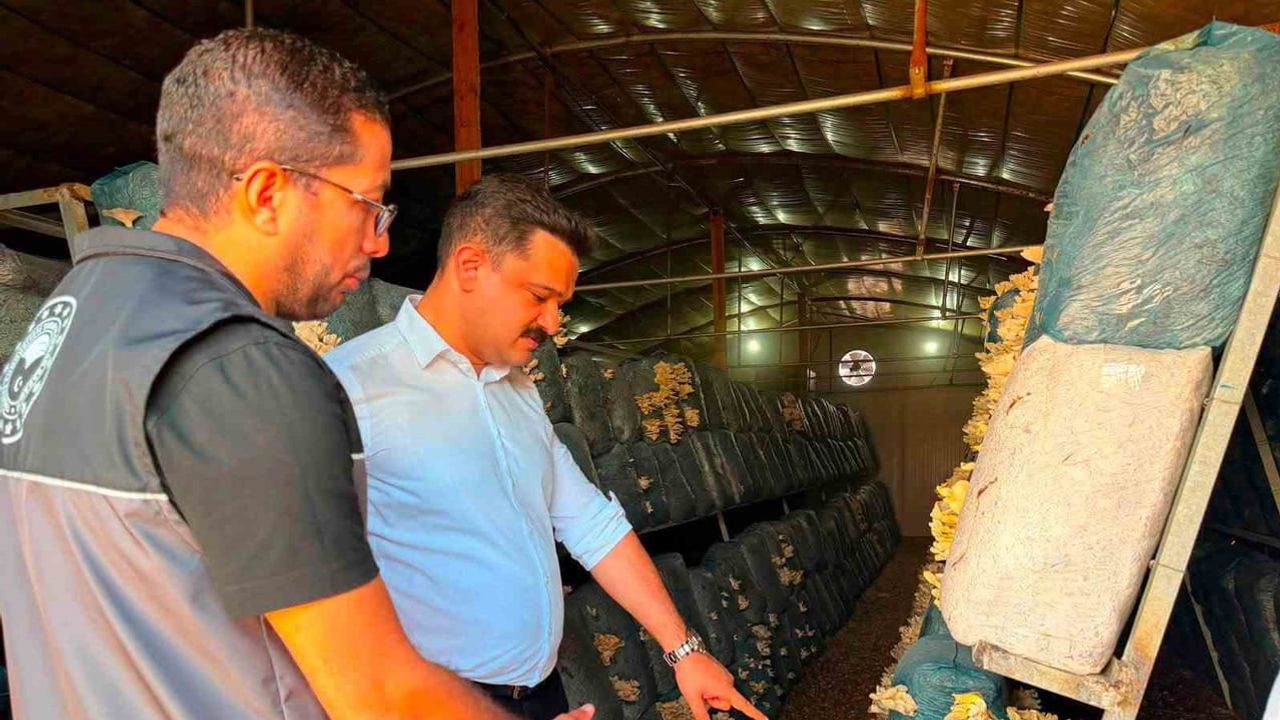 Küçükyenice'de modern tesisler kırsal üretimi canlandırıyor
