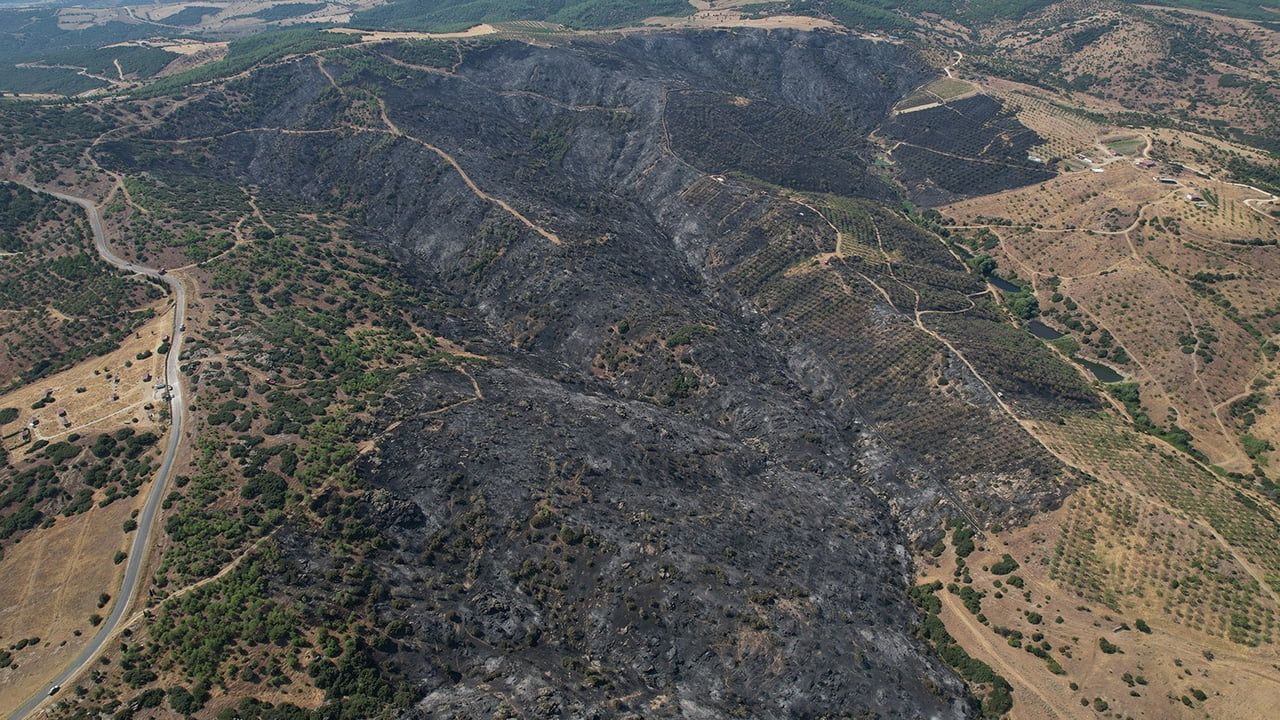 Kula'da rüzgarla yayılan yangın bin dönümlük alanı etkiledi