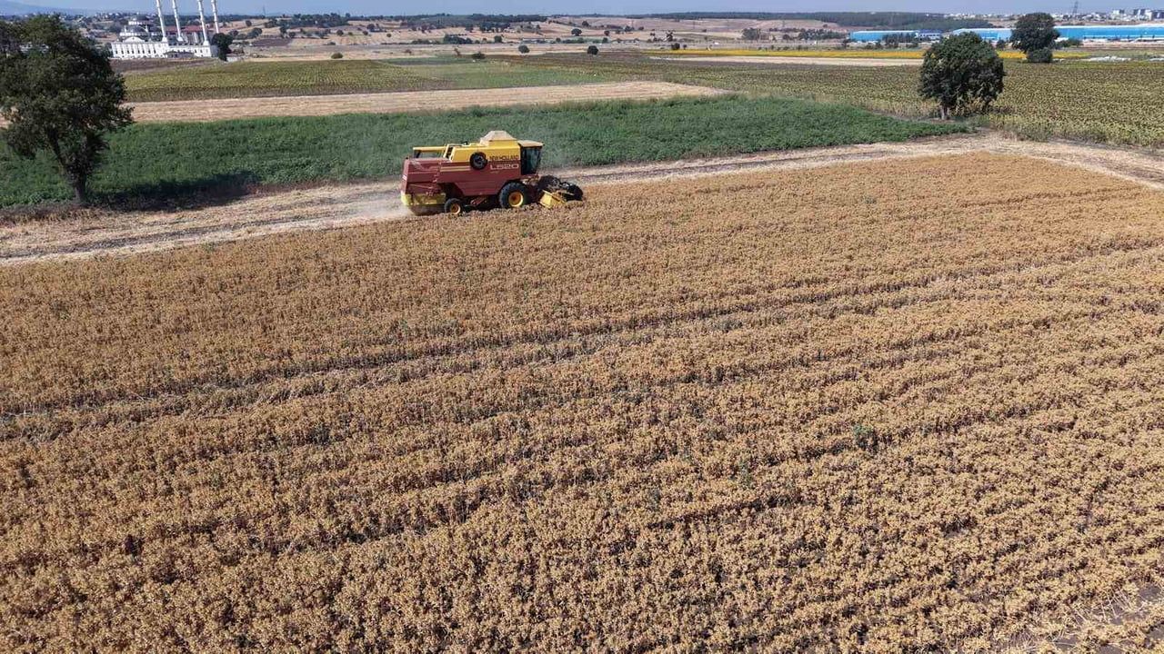 Kuraklığa dayanıklı aspirle Nilüfer'de tarımda yeni rota