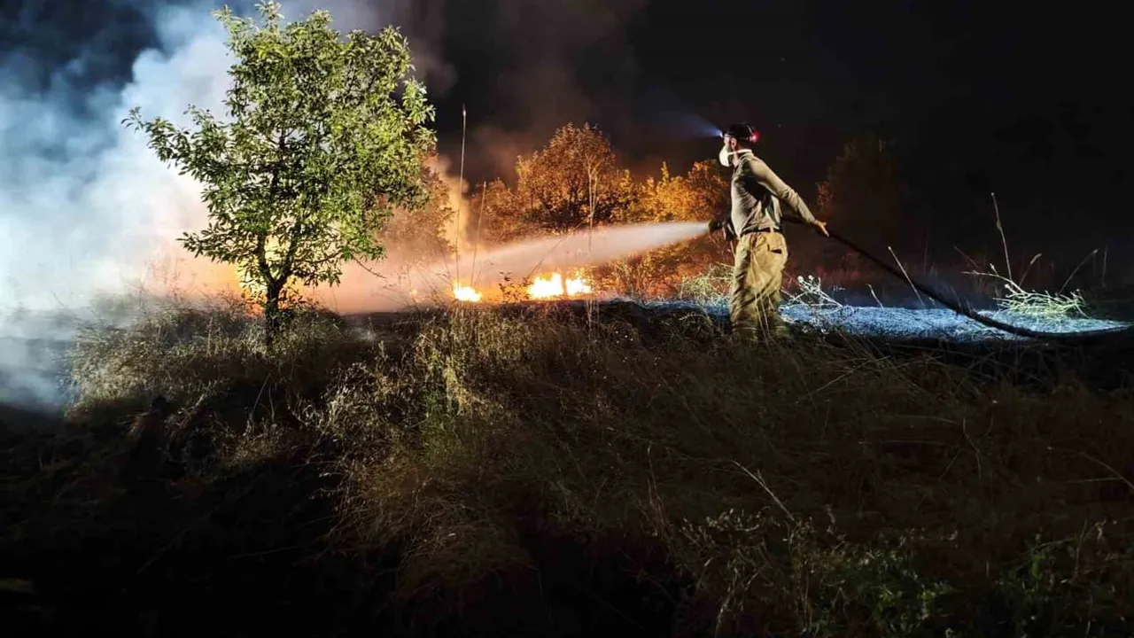 Kuru otlar ve rüzgar yangını Bağlamaz Tepesi ormanına taşıdı