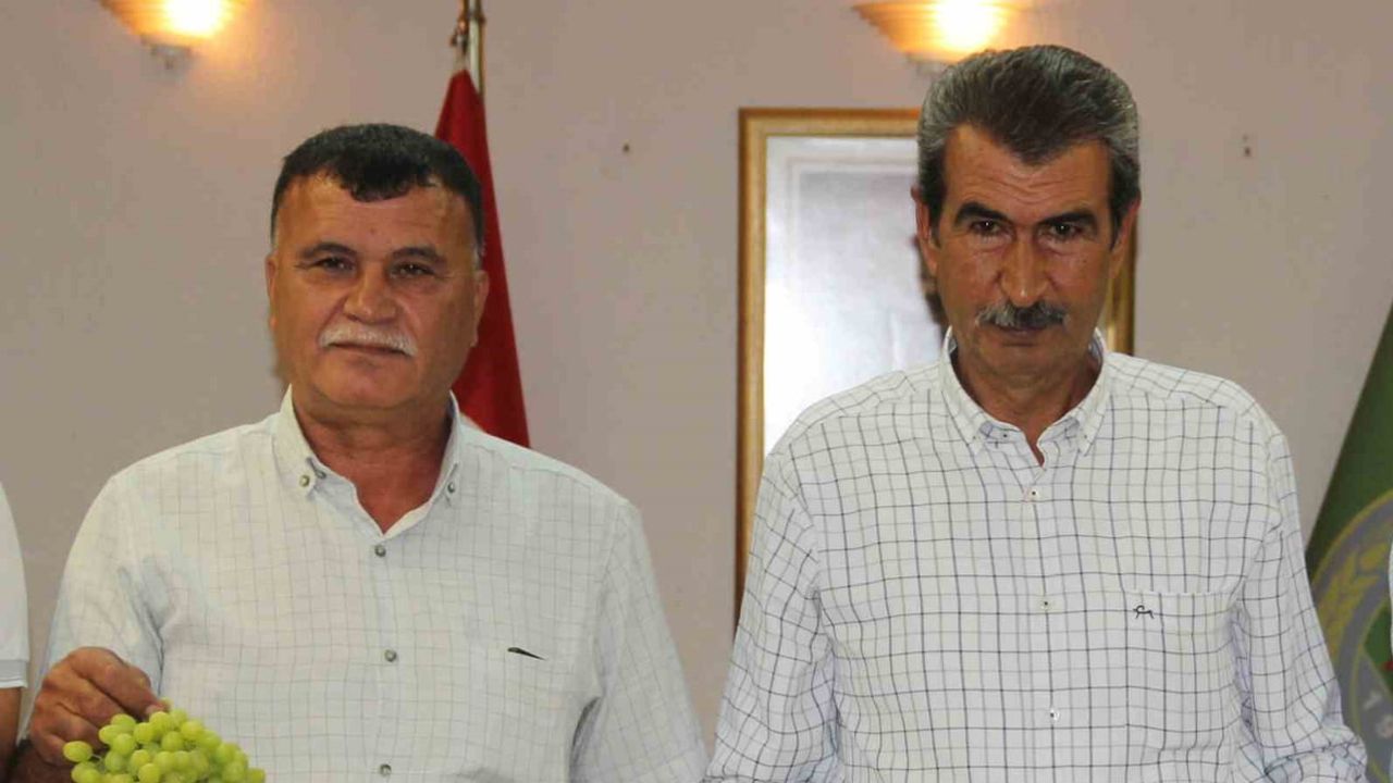 Kuru üzüm hasadında belirsizlik: üreticiler taban fiyatın derhal açıklanmasını istiyor