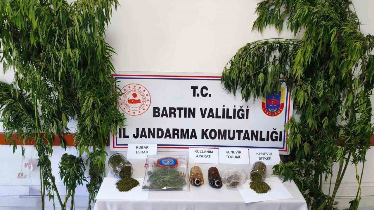 Kurucaşile'de jandarma baskını: 1 kişi gözaltına alındı
