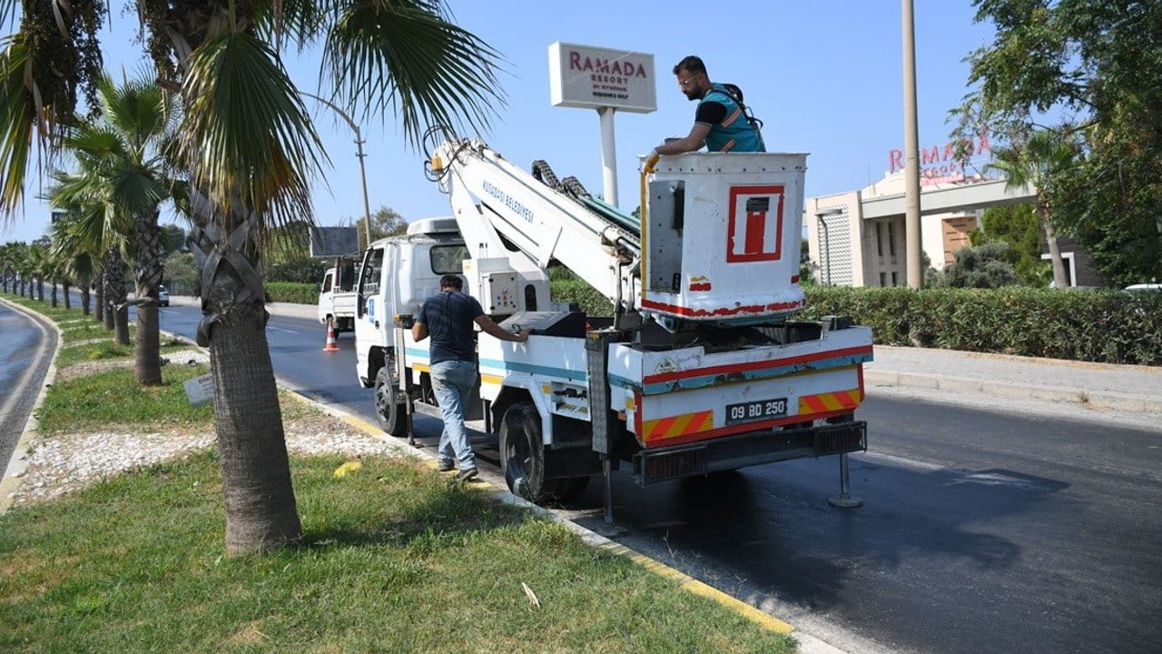 Kuşadası'nda çevreyolu palmiye koruma hamlesi: estetik ve güvenlik önceliği