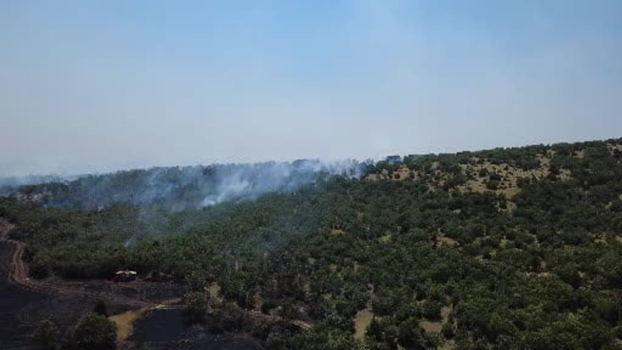 Kütahya'da biçerdöver kaynaklı yangın 22 hektarı etkiledi, vali Işın destek sözü verdi