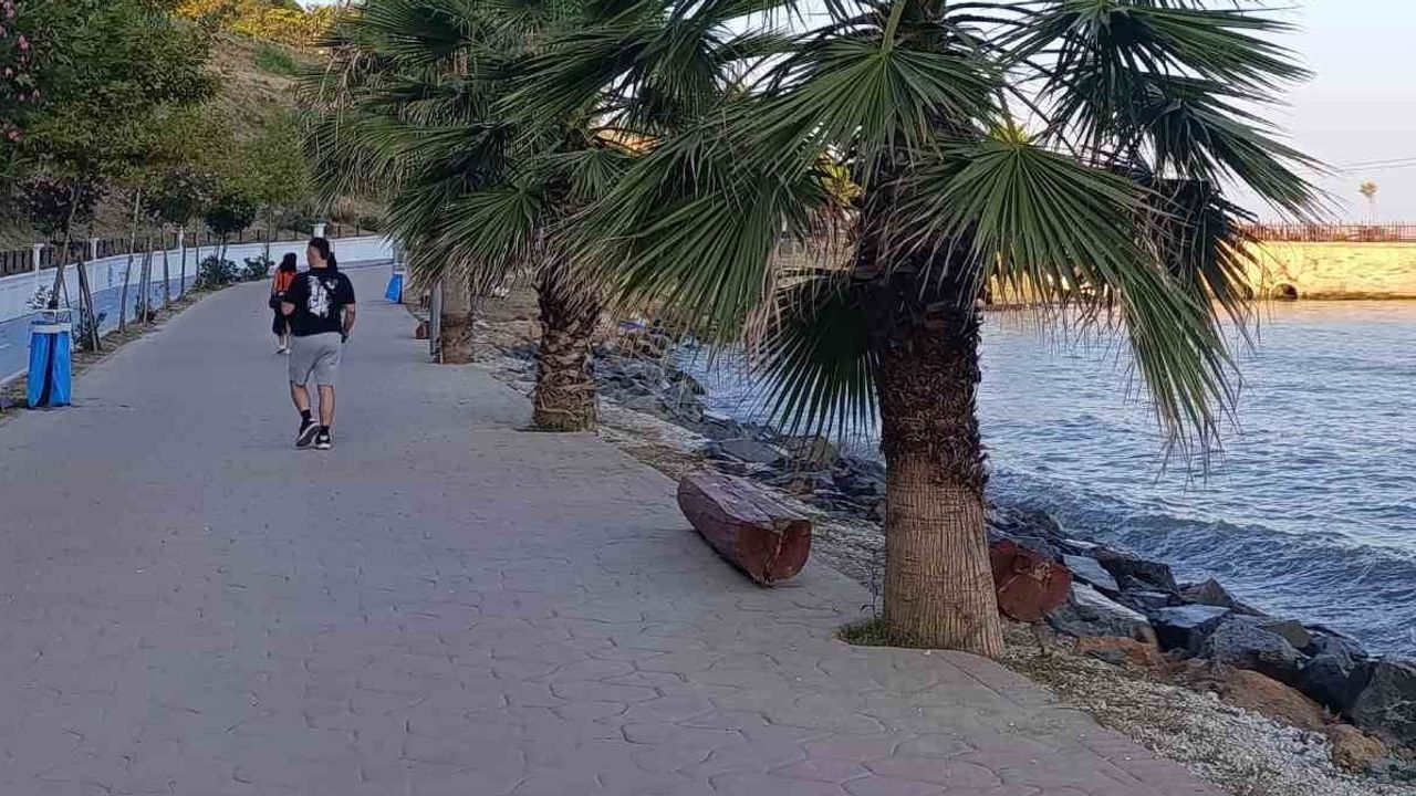 Kuvvetli poyraz sahil ağaçlarını devirdi, vatandaşlara uyarı yapıldı