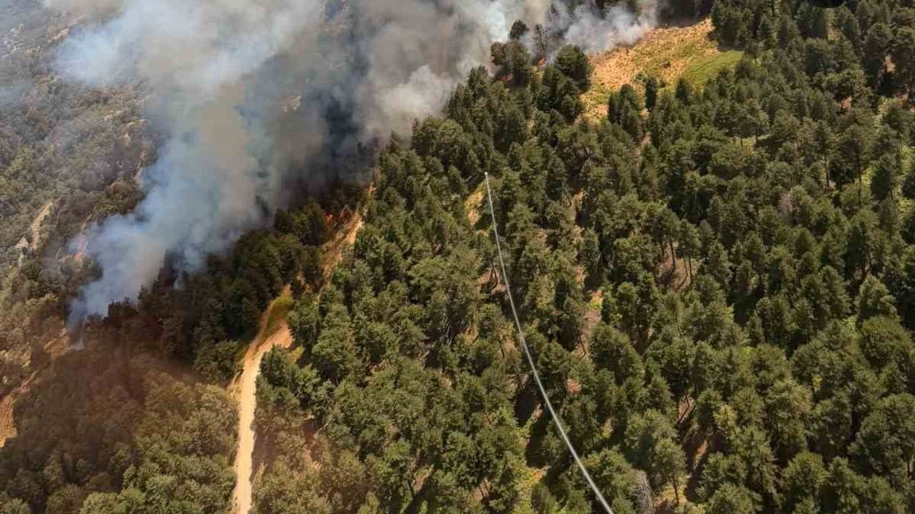 Kuyucak'ta orman yangınına havadan ve karadan müdahale sürüyor