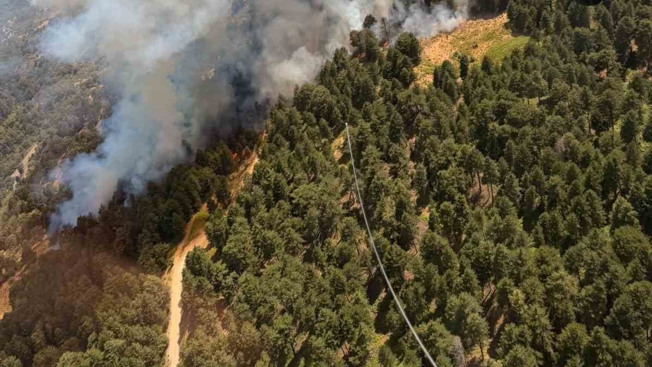 Kuyucak'ta yangın sürüyor, meteorolojiden kritik saat uyarısı