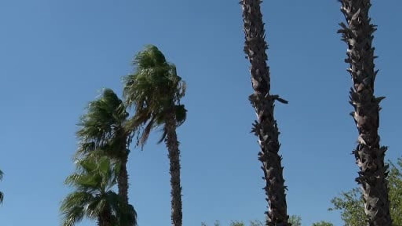 Kuzey rüzgarı Antalya Körfezi'nde kıyıdaki mikroplastikleri açığa doğru taşıyor