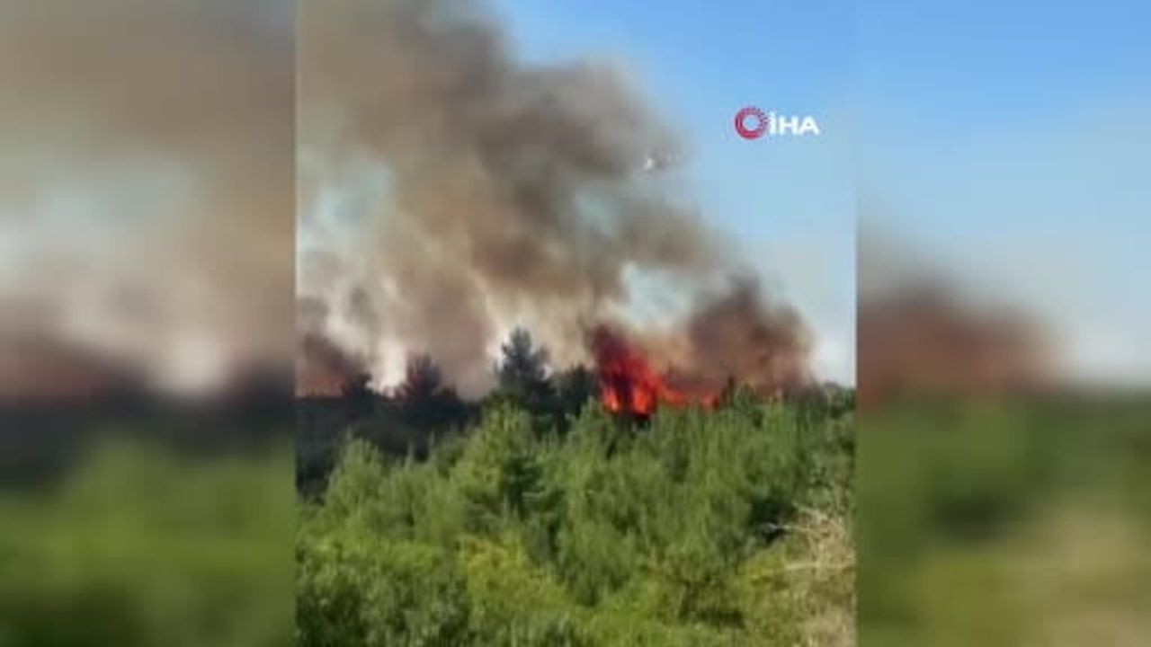 Lapseki'de Umurbey yakınlarında tarım arazisi yangınına müdahale sürüyor