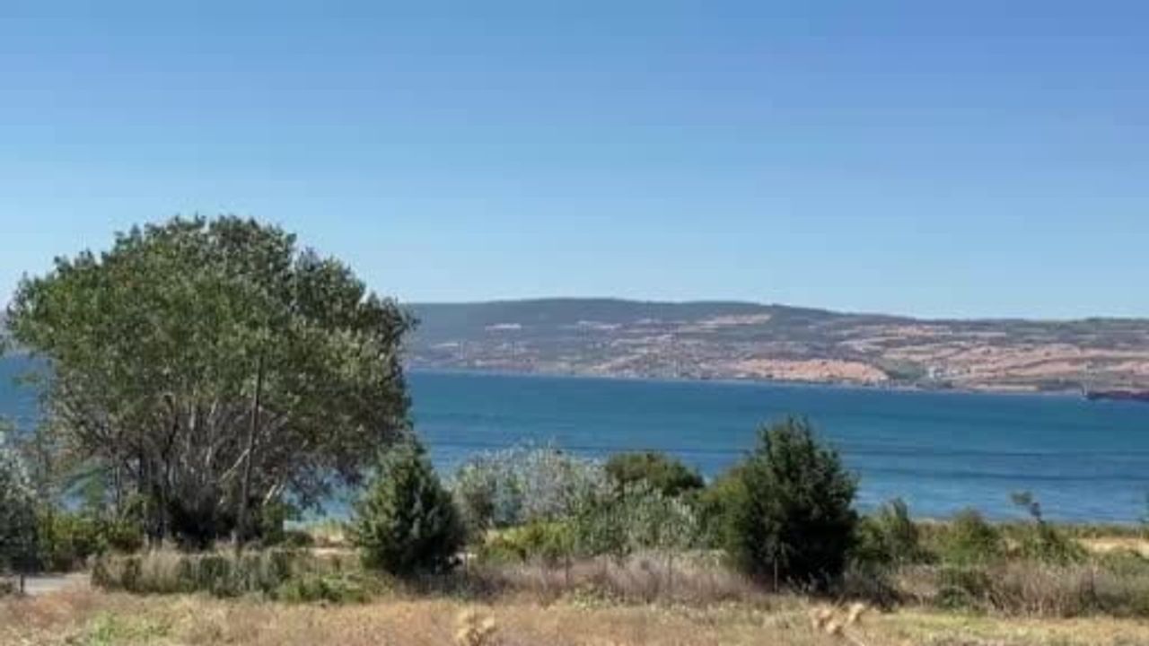 Lapseki'de Umurbey yakınlarındaki tarım yangınına seferberlik