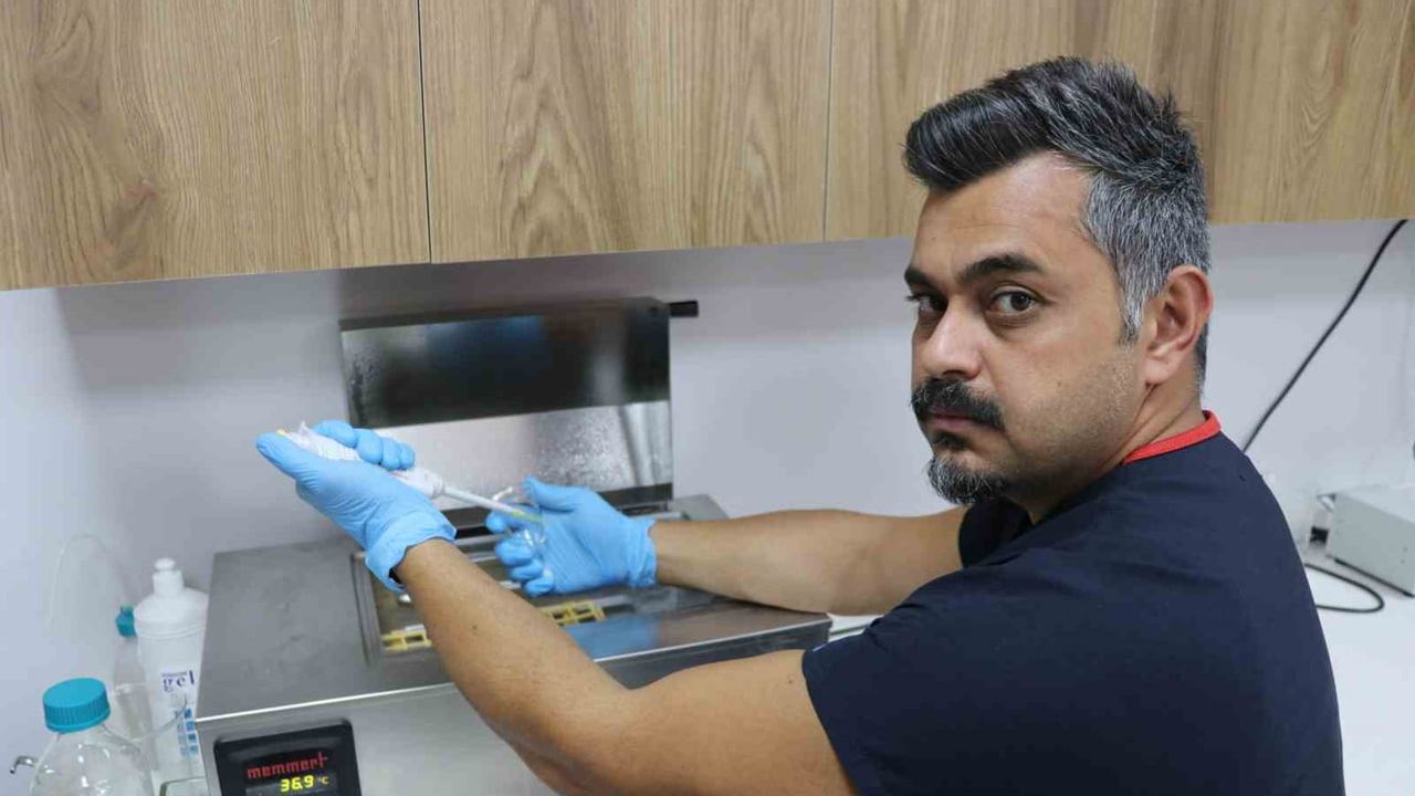 Libidosu düşen Kangal'dan alınan spermlerle 11 yavru dünyaya geldi