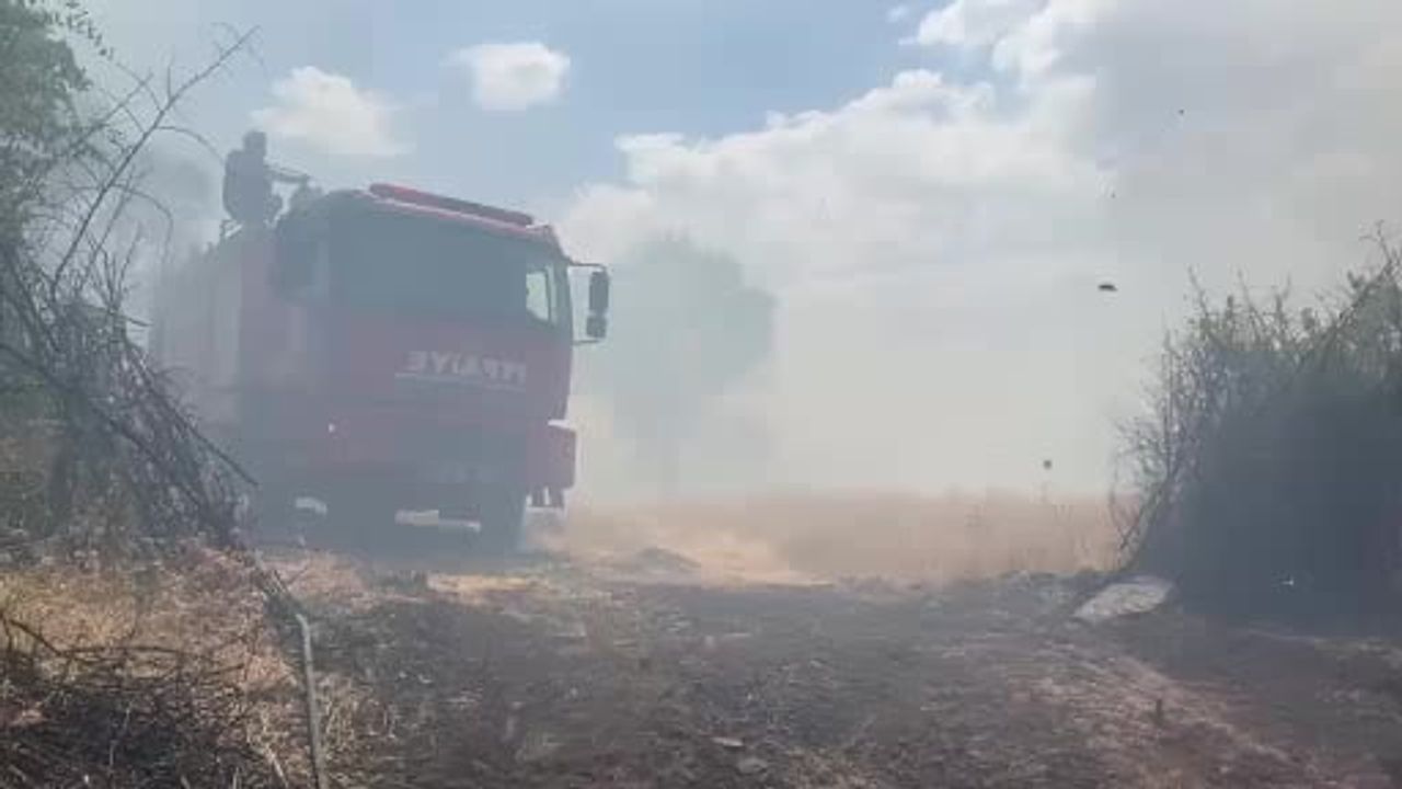 Lice'de örtü ve orman yangını yaklaşık 400 dönümlük alanda etkili oldu