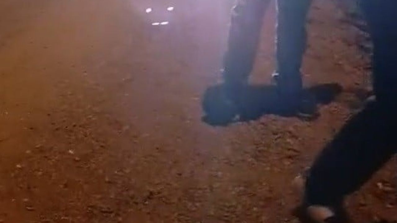 Mahallede gece nöbetiyle aranan 'Gulyabani' endişesi