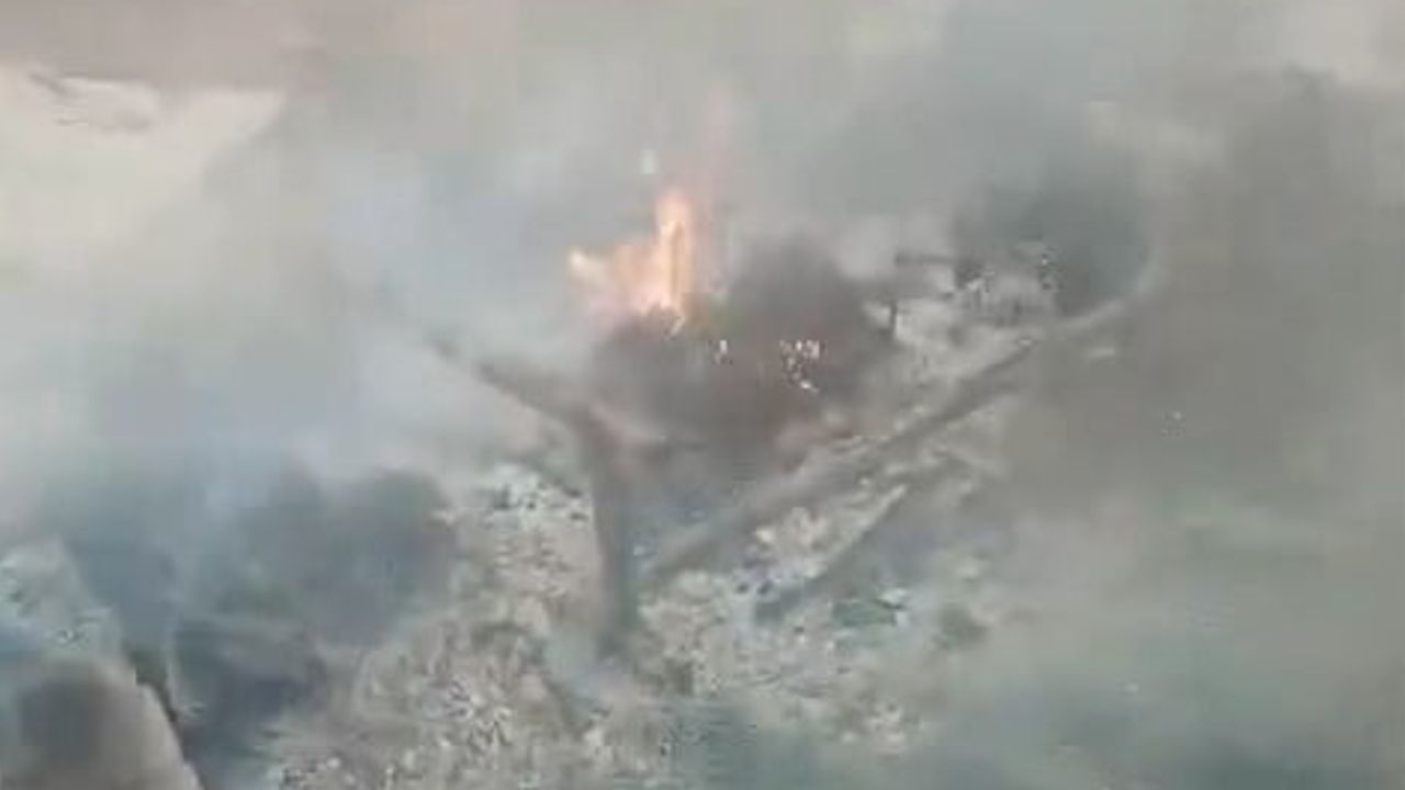 Mahmudiye'de kıvılcımla başlayan yangın arılığı küle çevirdi