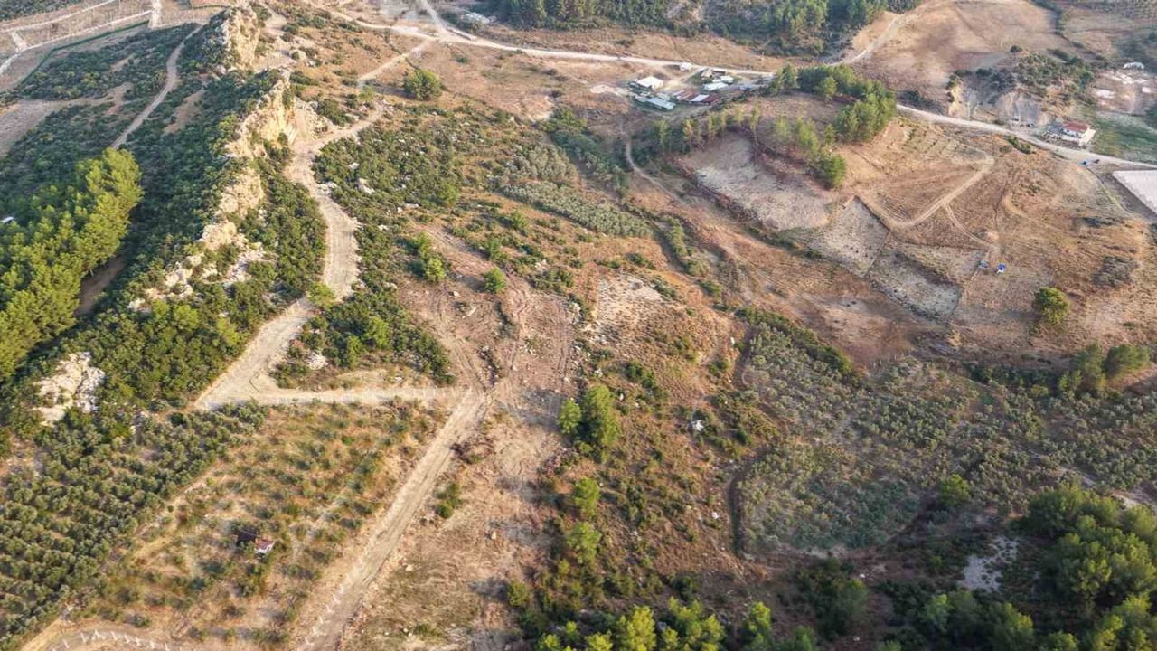Manavgat'ta 75 dönümlük yaşam alanı sokak hayvanlarına nefes olacak