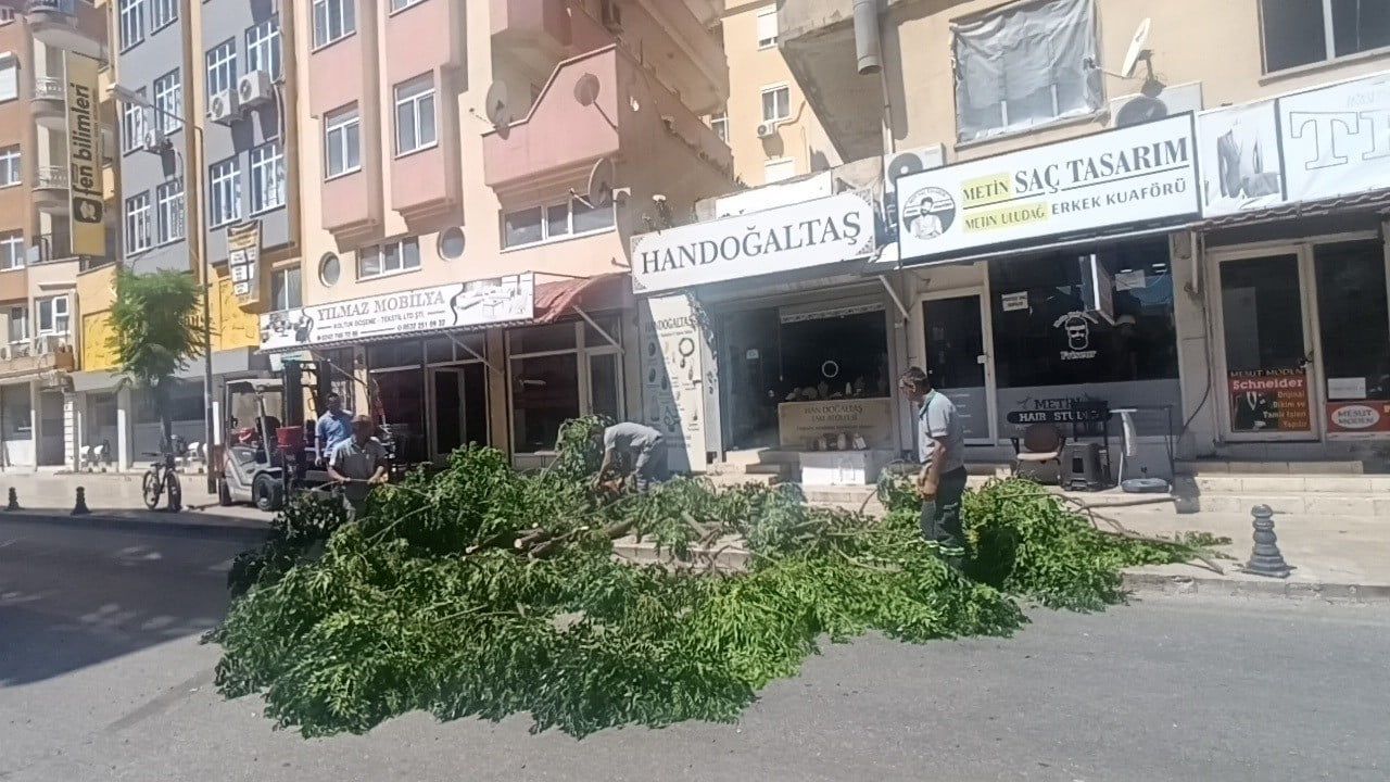 Manavgat'ta fırtına ağaç devrilme riski oluşturdu, cadde kısa süre kapandı