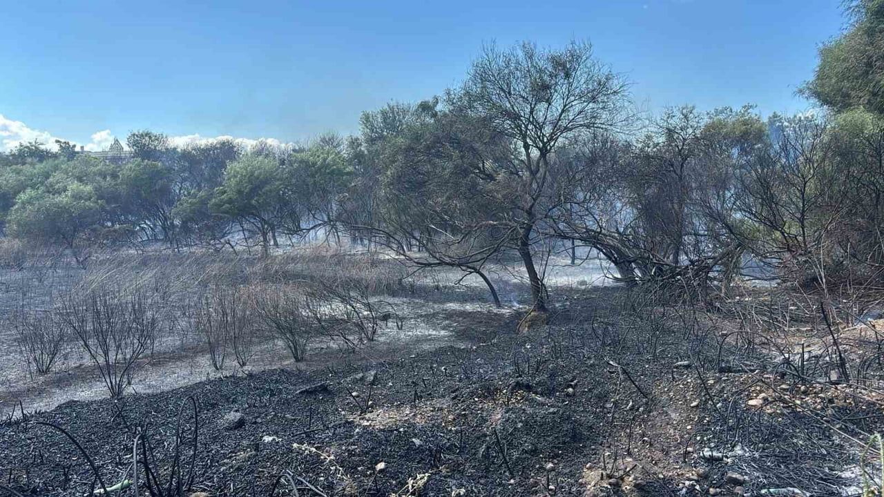 Manavgat'ta göl kıyısında çıkan sazlık yangını kontrol altına alındı