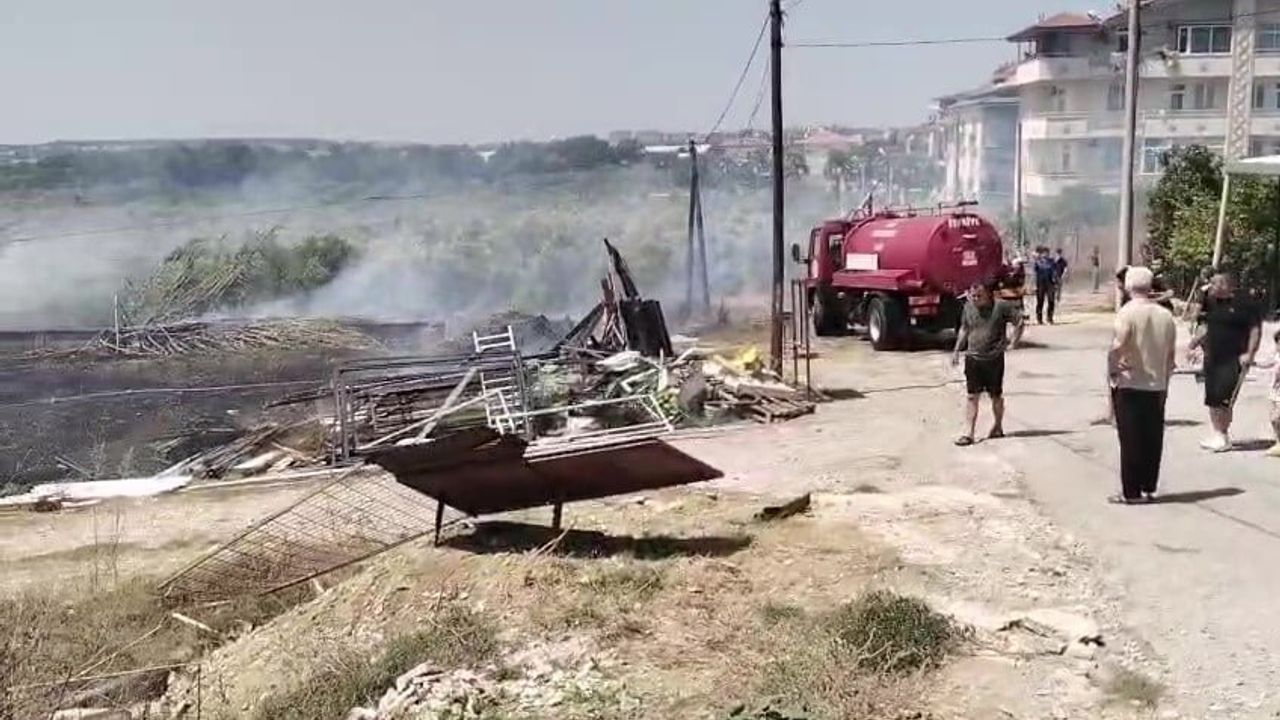 Manavgat'ta kuru ot yangını zeytinliklere zarar verdi