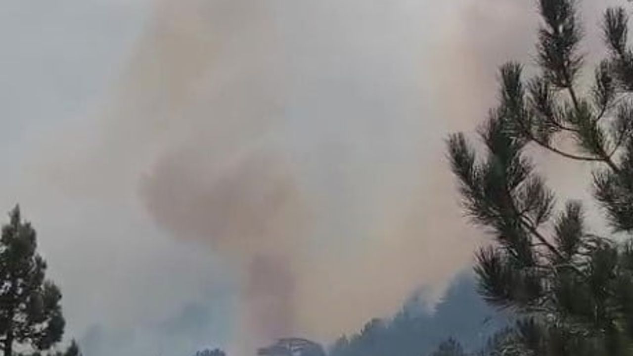 manavgat'ta sarp arazide çıkan yangının enerjisi düşürüldü