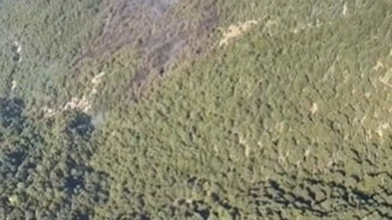 Manavgat'ta zorlu arazide çıkan orman yangını kontrol altına alındı