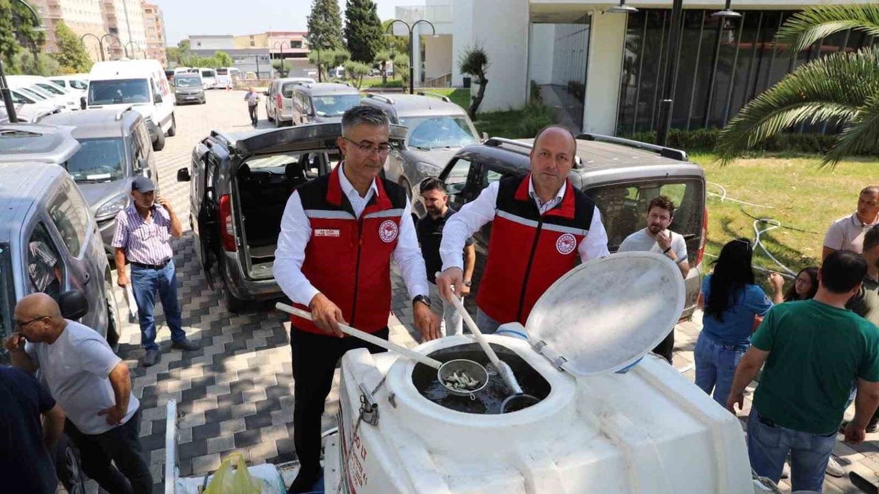 Manisa'nın barajları can suyu aldı: 1 milyon 285 bin 500 sazan yavrusu doğaya salındı