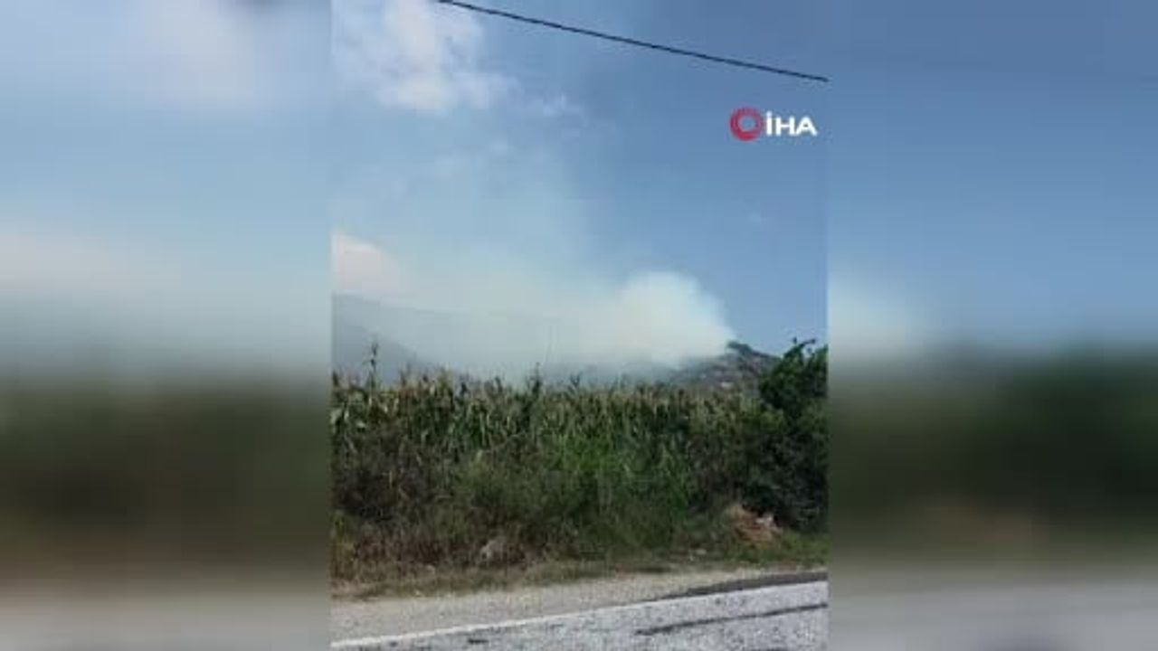 Marmara Adası'nda Topağaç ormanlarında yangın: hava ve kara ekipleri müdahale ediyor