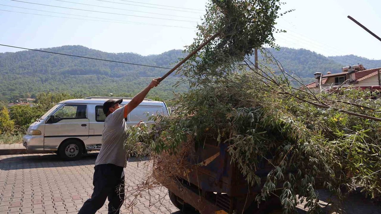 Marmaris Beldibi'nde kapsamlı temizlikle yangın tehdidine önlem
