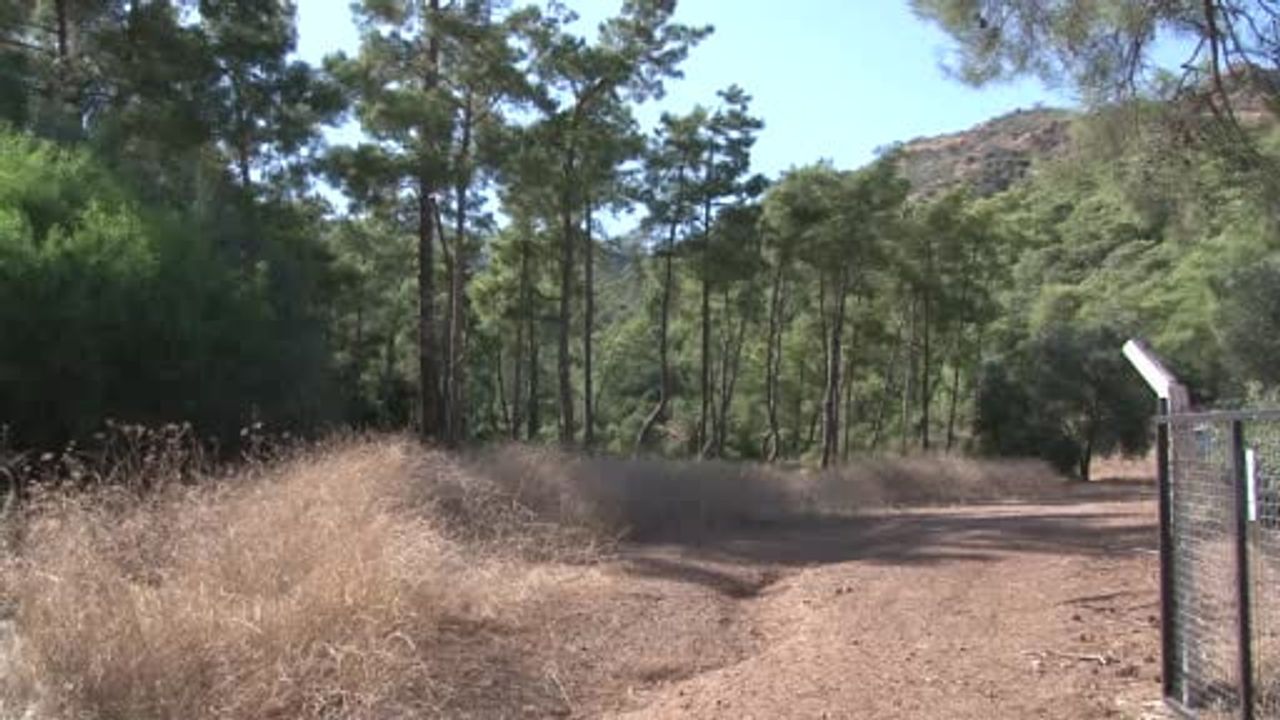 Marmaris'te 8 noktada dedektörle arama: Karatepe'nin gösterdiği alanlar incelendi