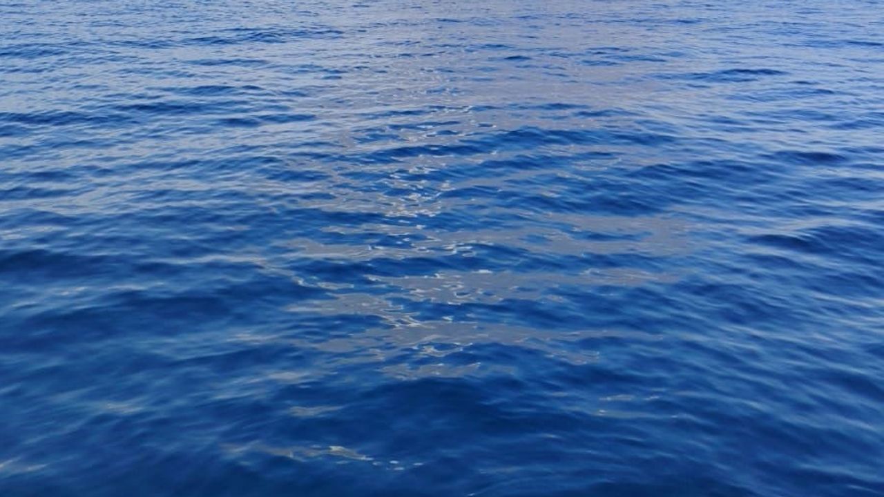 Marmaris'te Kabakargı Koyu'nda orman yangınıyla mücadele sürüyor