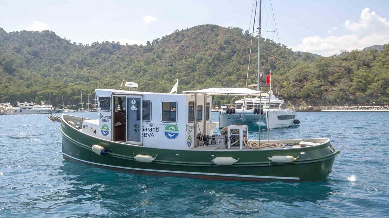 Mavi Nefes beş yılda denizlerde temizlikten restorasyona geniş etkiler bıraktı