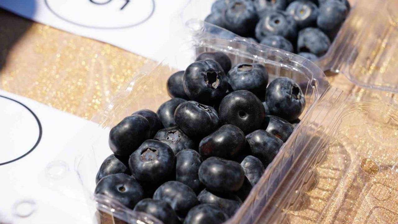 Maviyemişin bereketi Candarlı'da buluştu