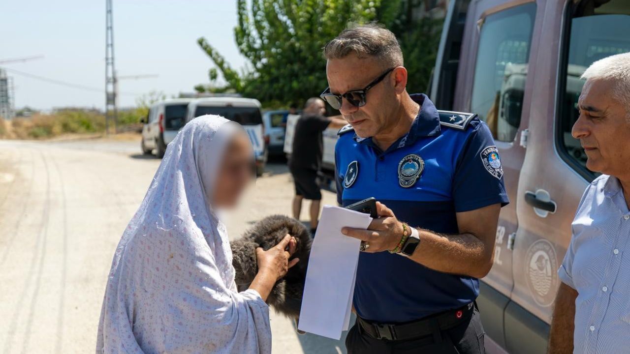 Mersin'de ihbar temizlik değil, yaklaşık 100 kedi bulundu