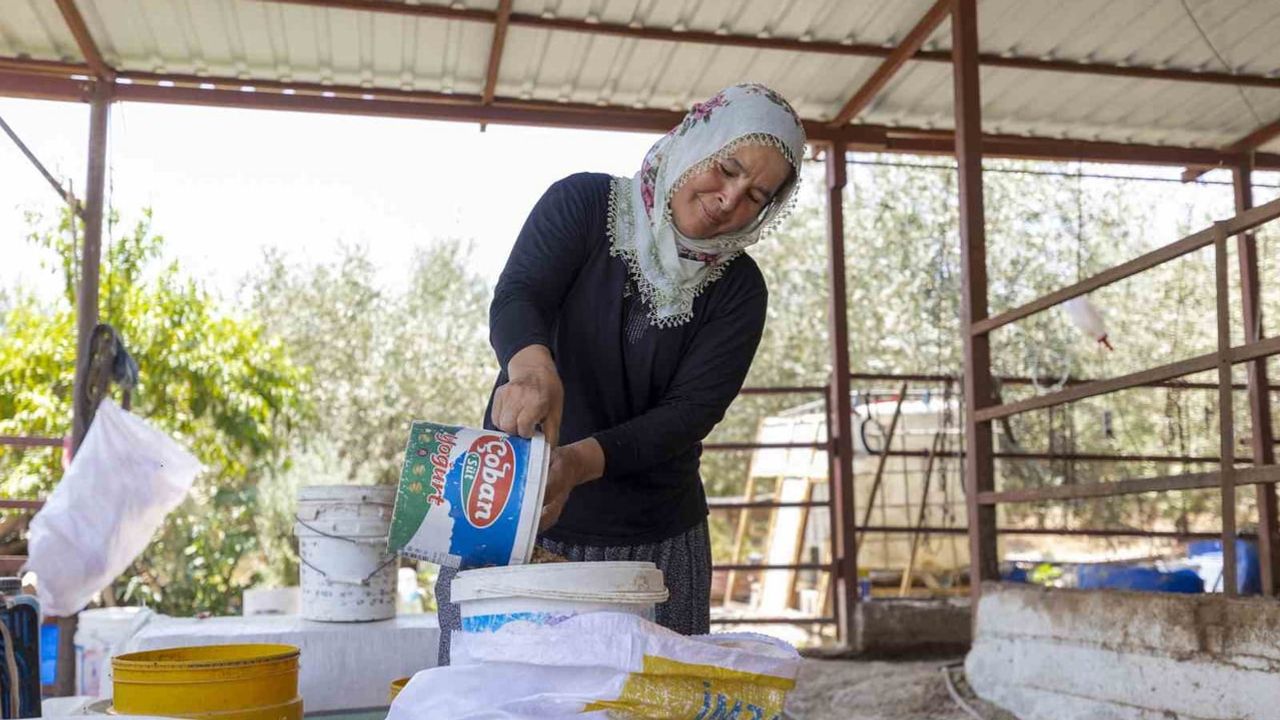 Mersin'de kırsal üretimi güçlendiren yüzde 50 hibe ile süt soğutma yatırımı