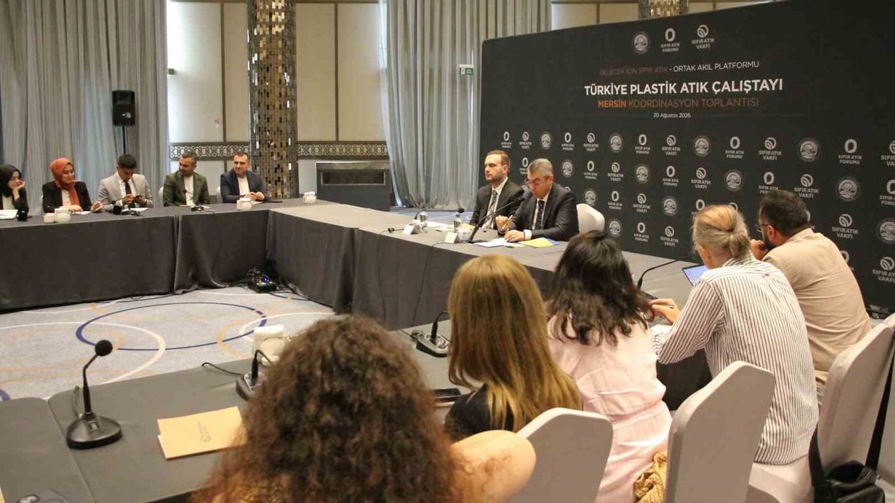 Mersin plastik döngüsünü güçlendirmek için denetim ve ortak akıl vurgusu