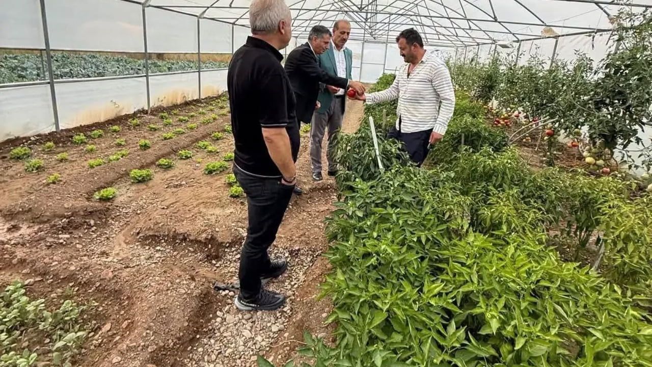 Milletvekili Ateş Eko-Köy'de dolu hasarını yerinde değerlendirdi