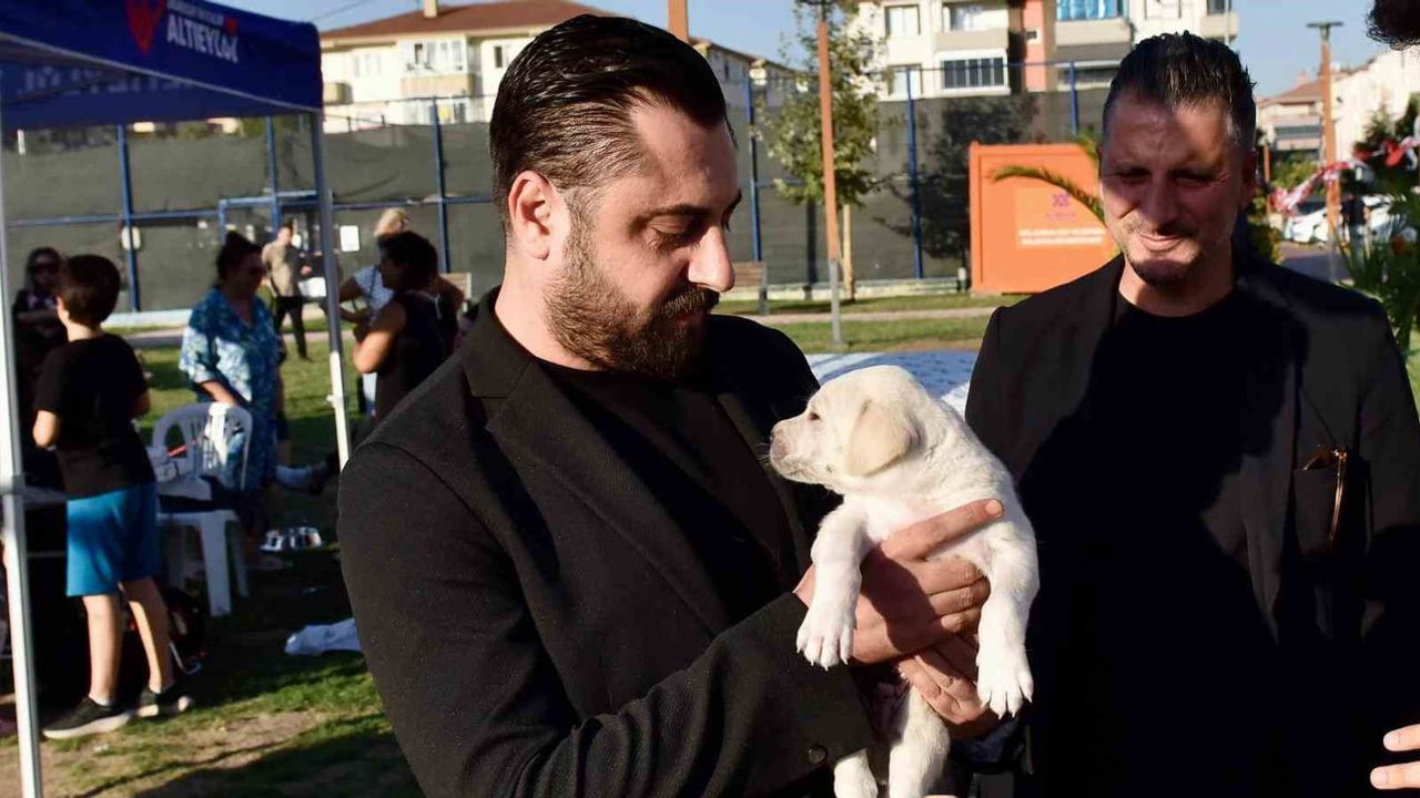 Minik patiler Altıeylül'de sıcak yuvalarla buluştu