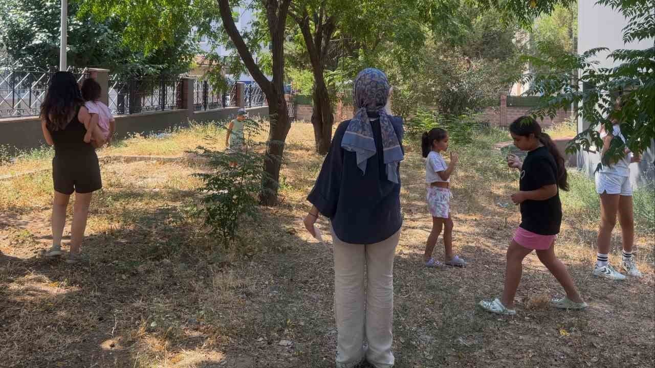 minikler kitapların dünyasını 'sihirli kütüphanenin kayıp anahtarı' ile keşfetti
