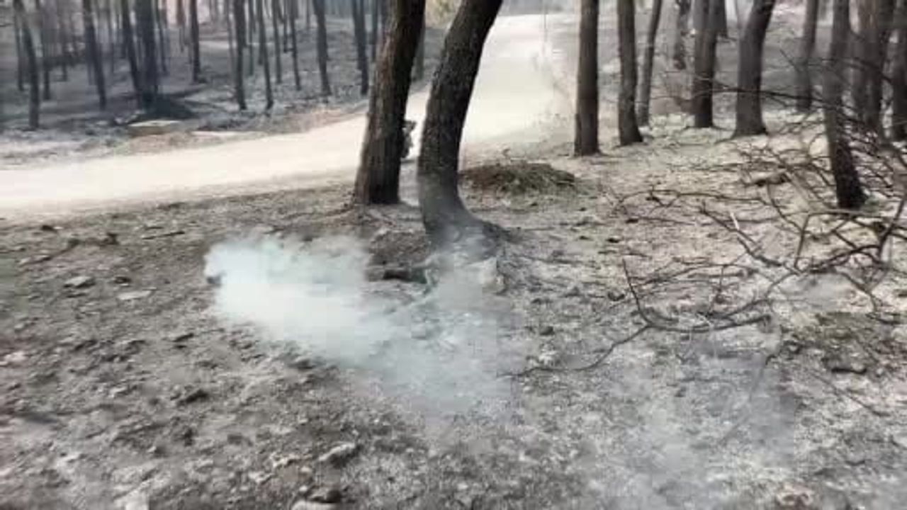 Motorlarını yarış pistinden yangın hattına taşıdılar