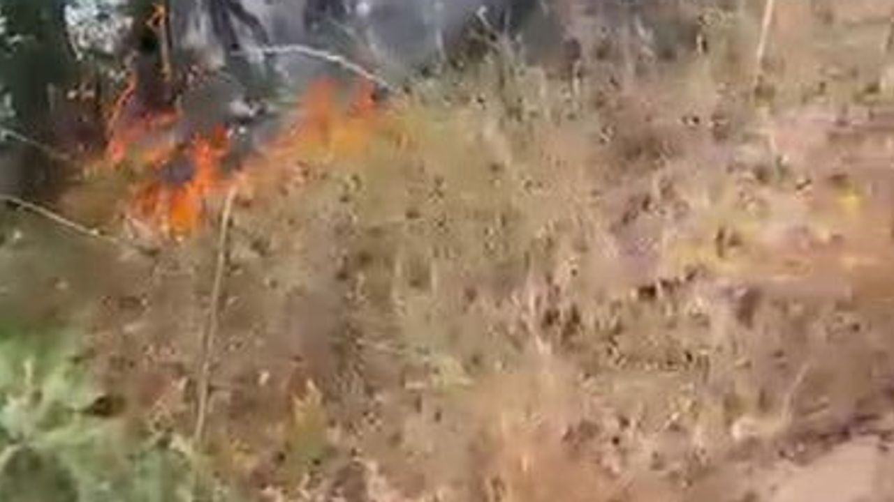 Müdahale sürüyor: Tunceli Munzur Vadisi'nde örtü altı yangını