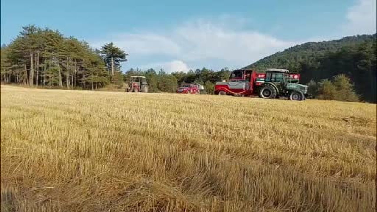 Mudurnu'da anız yangınına köylülerin su tankerleriyle müdahalesi ormanı kurtardı