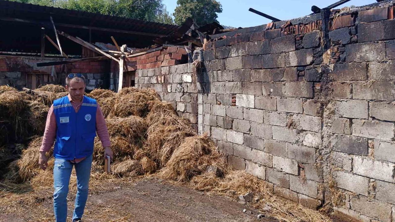 Muğla Büyükşehir 500 balya yanan üreticinin yanında