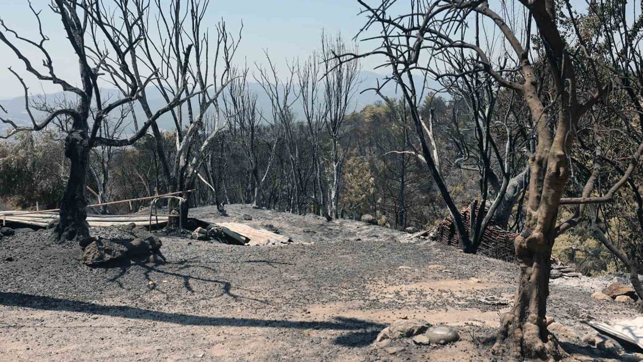 Muğla Büyükşehir'den yangından etkilenen çiftçilere kapsamlı destek