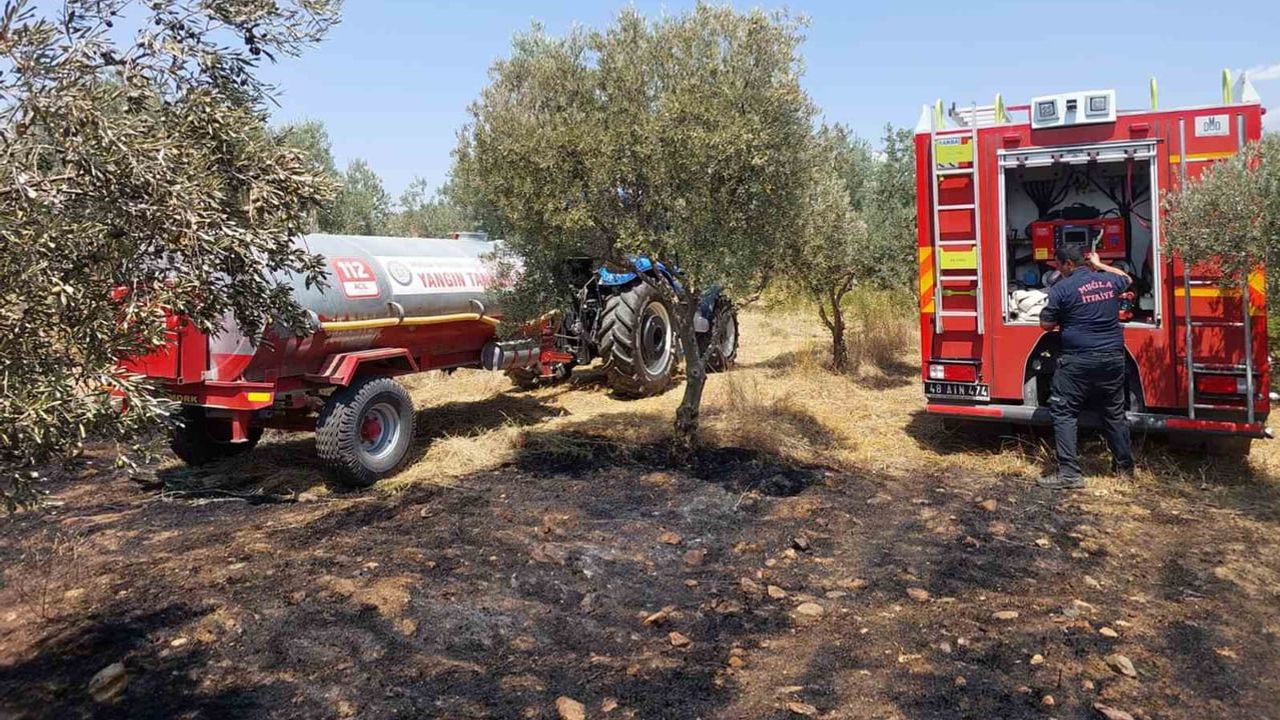 Muğla'da ihmaller öne çıkıyor: açık alan yangınlarının büyük kısmı insan kaynaklı