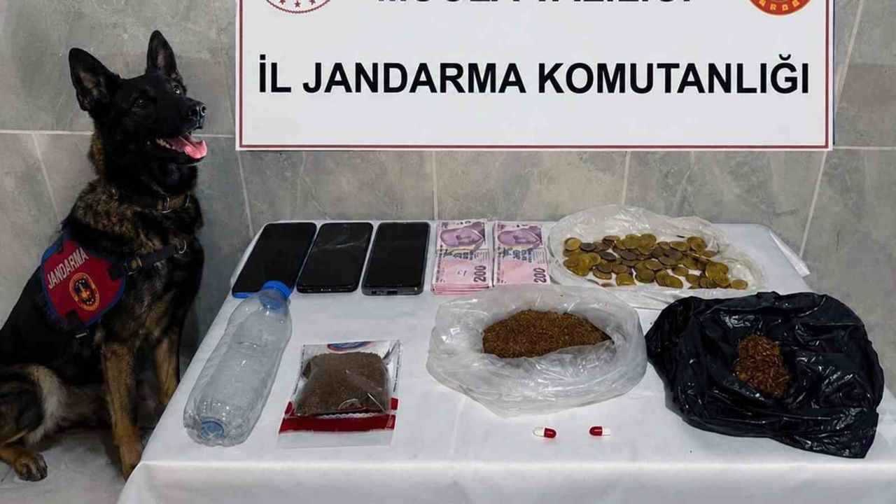 Muğla'da jandarmanın temmuz dalgası: 24 operasyonda tarihi sikke ve uyuşturucu ele geçirildi
